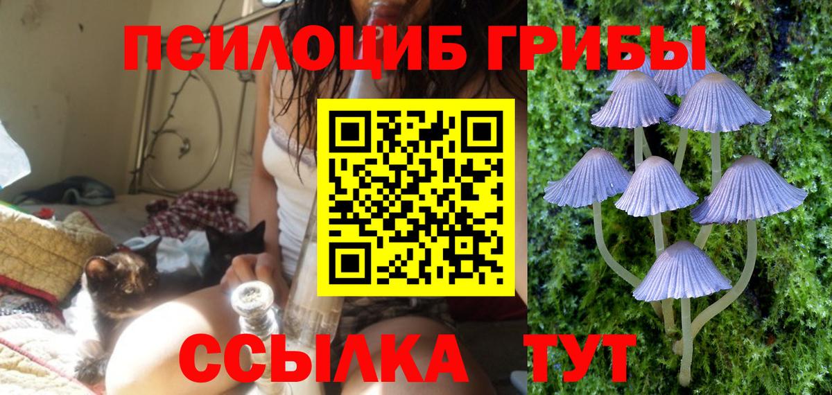 где продают   Псилоцибиновые грибы Cubensis  Вход с VPN  Псилоцибиновые грибы MAGIC MUSHROOMS  Малоярославец 