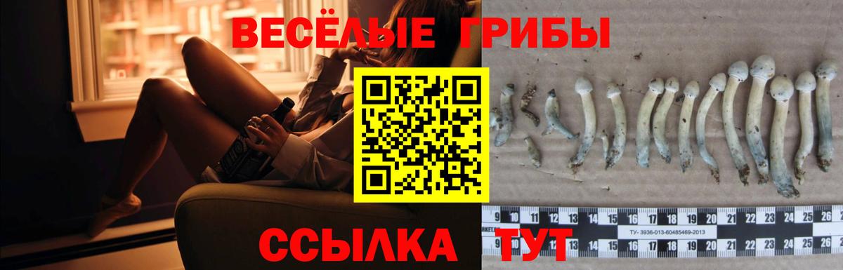 Псилоцибиновые грибы Magic Shrooms Малоярославец